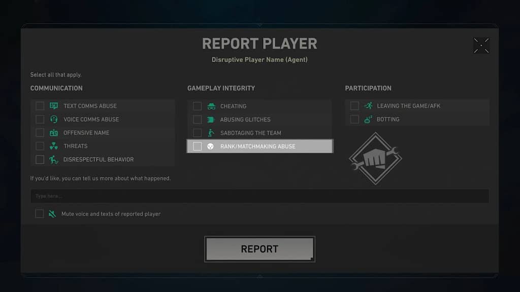 Valorant New Report Category